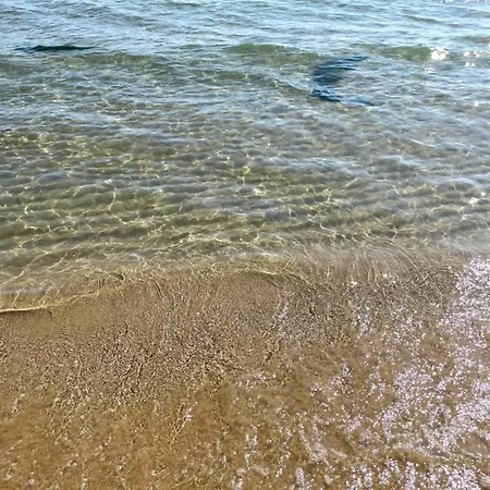 Yassen - Apartma S Vyhledem Na Bazen * Sunny Beach